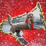 Аватар Телеграм канала: Новости здесь и сейчас|Иркутск