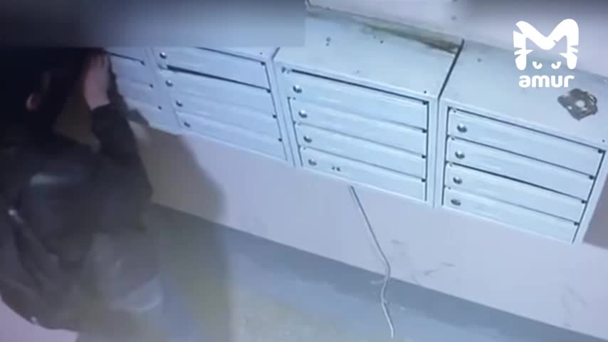 В Хабаровске задержан наркодельец с международной сетью поставок