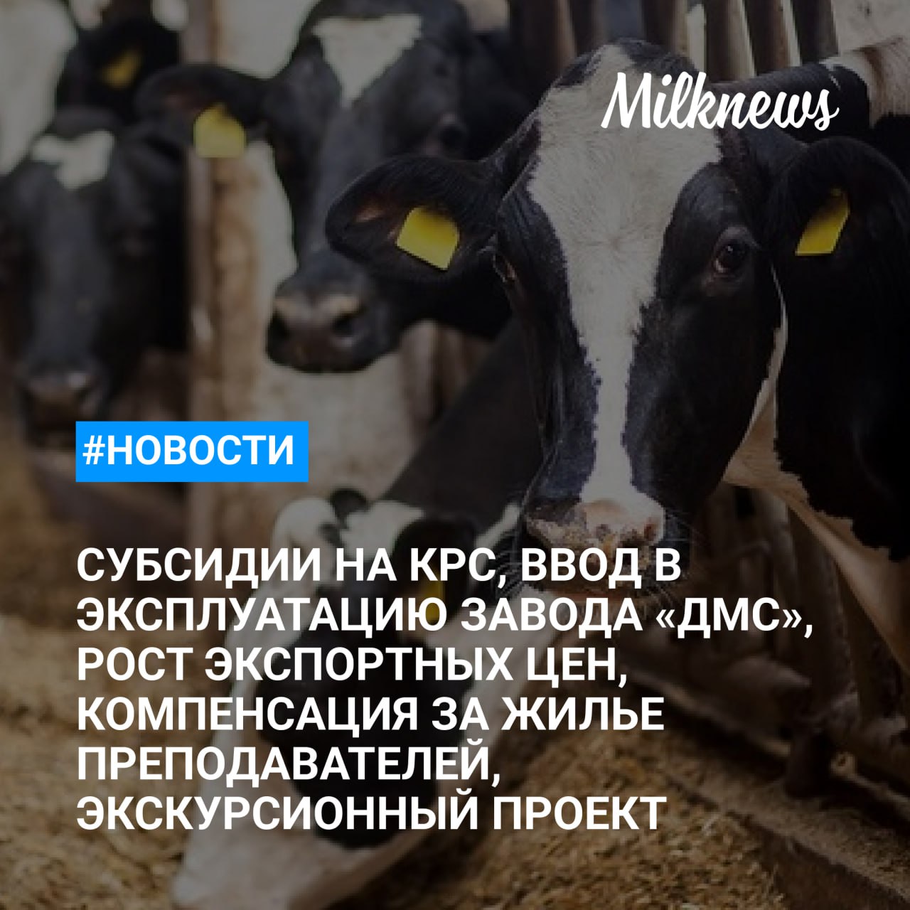 В Тюменской области введут субсидии на приобретение КРС и развитие молочных ферм    Завод по переработке молока «ДМС» в Калининградской области получил разрешение на ввод    На БУТБ продолжается рост экспортных цен на молочную продукцию    Кабмин компенсирует затраты на жилье для преподавателей аграрных вузов    «ЭкоНива» открыла экскурсионный проект на второй молочной ферме в Воронежской области