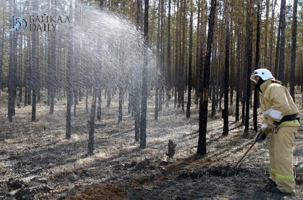 В Бурятии с лесными пожарами борются 115 человек. За прошедшие сутки в лесном фонде республики новых возгораний не зарегистрировали. Однако общая площадь пожаров выросла. На утро 30 июля проводятся работы по тушению четырёх лесных пожаров в Кабанском, Кижингинском и Прибайкальском районах. Общая площадь составляет 705 га