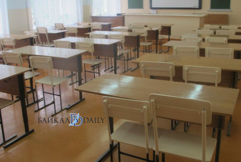 Школа ушла на дистант из за массовой гибели овец На дистанционное обучение отправили школьников в заиграевском селе Старый Онохой Там в частном подворье погибли овцы по одной из версий на них напали волки