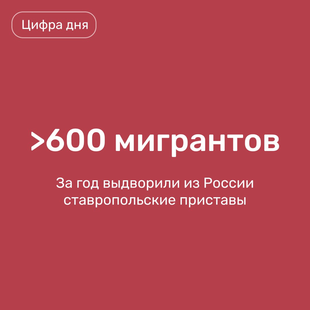 Среди тех, кому в 2024 году на Ставрополье запретили въезд в Россию, оказались граждане Узбекистана, Туркменистана, Таджикистана, Вьетнама, Афганистана и Ганы. Возвращаться на территорию РФ они не имеют права в течение ближайших пяти лет.  Как пояснили в УФССП России по краю, это иностранцы, которые нарушили закон и, несмотря на отсутствие визы, находились в стране более 90 дней.