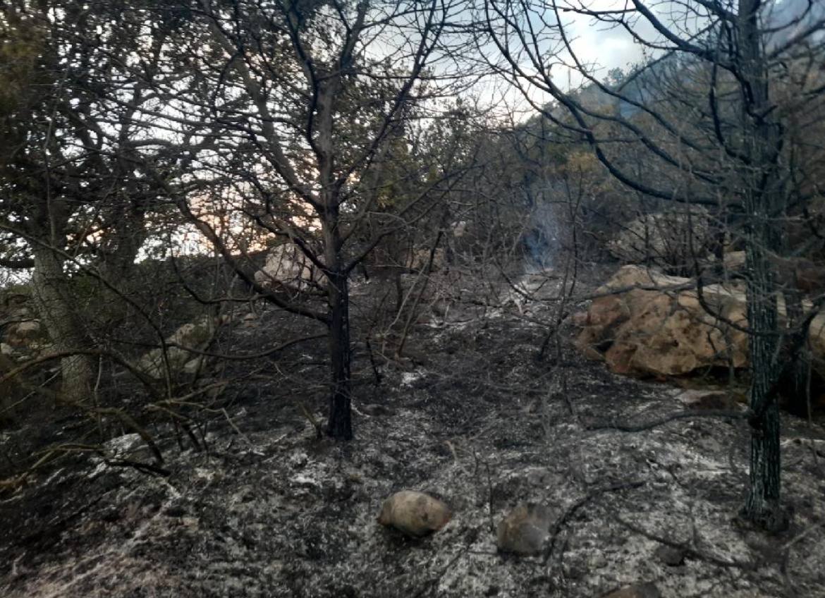 В Алуште прокуратура направила в суд уголовное дело об уничтожение лесных насаждения в районе Кастель Как установлено дознанием 29 июня 2025 года 55 летний обвиняемый находясь на отдыхе в частном домовладении в селе Лазурном проигнорировав требования пожарной безопасности развел открытый огонь в переносном мангале возле ограждения в результате чего допустил возгорание сухой растительности за пределами домовладения Пожар распространился вверх по склону горы Кастель и был окончательно ликвидирован лишь 2 июля 2025 года его площадь составила более семи гектаров Общая сумма ущерба причиненная лесным насаждениям составила более 14 млн рублей Уголовное дело направлено в суд для рассмотрения по существу