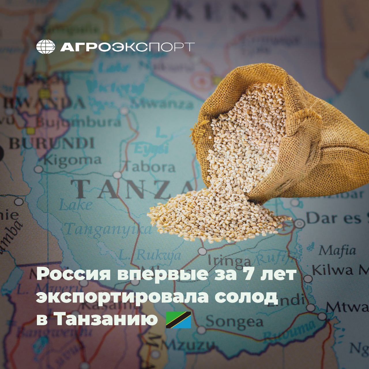 Россия впервые за 7 лет экспортировала солод в Танзанию Россия с августа по сентябрь 2025 года экспортировала солод в Танзанию Согласно оценкам экспертов за 2 месяца объем поставок превысил 600 тонн на сумму более 300 тыс долл США Последний раз российский солод ввозился в Танзанию в 2018 году общим весом около 4 тыс тонн на сумму более 2 млн долл США Всего же за 9 месяцев 2025 года экспорт солода из России превысил 94 тыс тонн на сумму более 50 млн долл США агроэкспорт новостиАПК