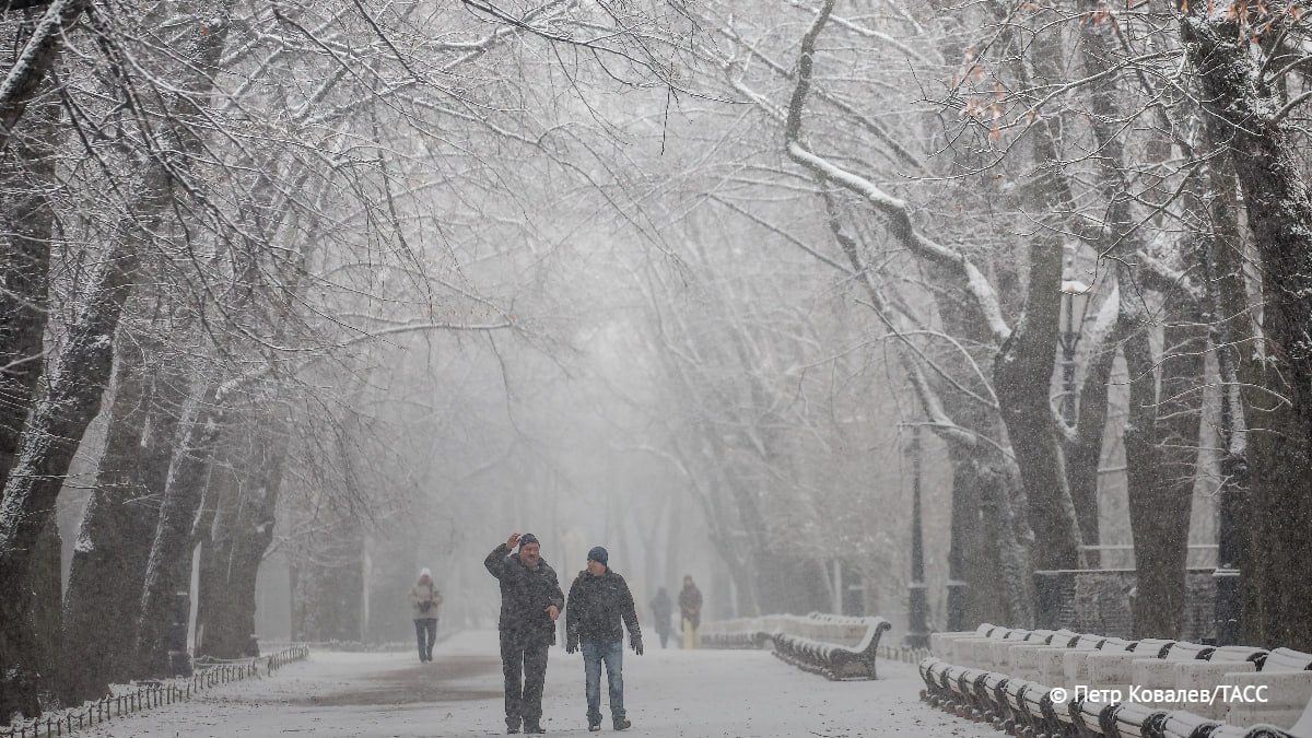 Снегом покрыто до 90 территории России сообщил ТАСС научный руководитель Гидрометцентра Роман Вильфанд