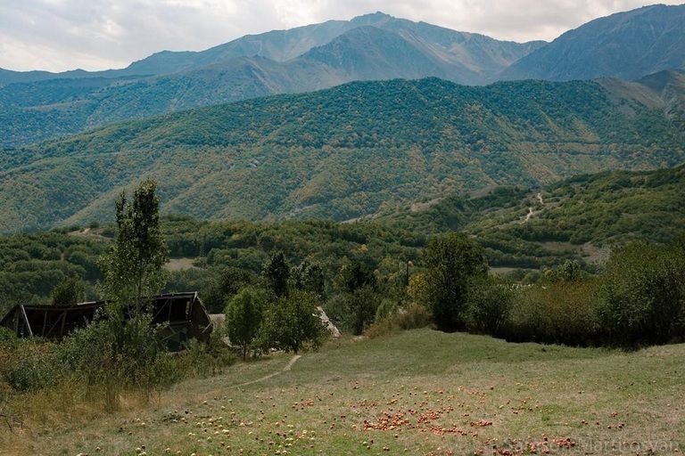 Двое несовершеннолетних, оказавшихся на азербайджанской территории, родом из Аравуса - они искали скот: источник Alpha News     Двое несовершеннолетних подростков, потерявшихся и оказавшихся на территории Азербайджана в окрестностях села Аравус Сюникской области, по информации Alpha News, родом из Аравуса, они занимались поиском скота, когда оказались на азербайджанской территории.  Напомним, немногим ранее СНБ РА сообщила, что жители общины Тех Сюникской области Карен Джангирян  2007 г. р.  и Андрей Гягунц  2008 г.р.  6 июня в пределах 01: 20 в оказались на территории Азербайджана, заблудившись в окрестностях села Аравус.     • Дзен • Сайт • TikTok • Facebook • Instagram • YouTube • X/twitter