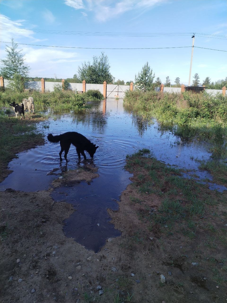 Вал воды идет на Читу, в пригороде подтопило дачный кооператив. Огороды на дачах в Шишкино-Остров ушли под воду. По словам главы Читинского района Виктора Машукова, уровень воды в реке Чита после ливней поднимается в районе населенных пунктов: Весь объем воды, который дождями был вылит на верховьях, скатился сюда по реке. Сейчас пик проходит к Шишкино, приближается к Шишкино-Остров. Уровень подъема составил 1,7 метра. Сейчас оповещает о подъеме Шишкино-Остров. По словам Машукова, вокруг кооперативов построены защитные насыпи, однако угроза подтопления грунтовыми водами все равно есть. Всех жителей Шишкино, Шишкино-Острова, Бургени, Верх-Читы и Береговой предупредили. Сейчас ведется оповещение СНТ и ДНТ вблизи Читы о том, что подходит вал воды — чтобы приготовились к встрече. Он, скорее всего, сегодня в ночь подойдет к Чите. Подписаться