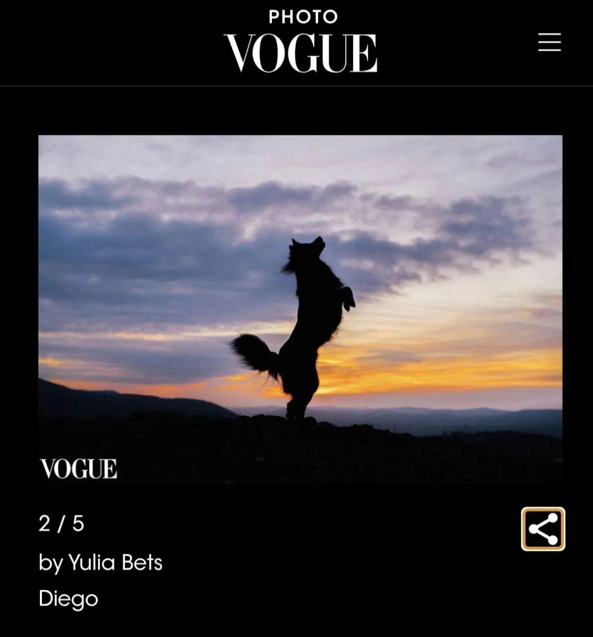 Красноярский пёс Диего из приюта попал на обложку VOGUE. Местный фотограф сфоткала хвостика на фоне скалы «Красный Гребень» и просто отправила фото в редакцию журнала. Легенда.