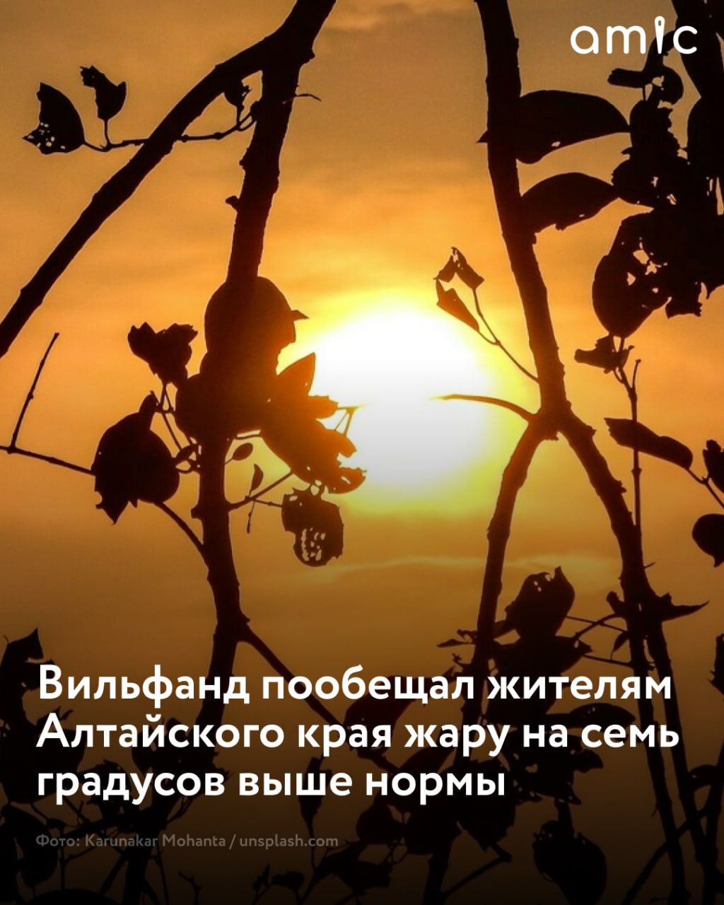 Жара на 6–7 градусов выше нормы ожидается в Алтайском крае 13–15 июня столбики термометров будут показывать от 28 до 33 градусов. Об этом сообщил ТАСС научный руководитель Гидрометцентра РФ Роман Вильфанд. В целом по стране температуры выше нормы в ближайшие дни будут преобладать в 15 регионах. Среди них Республика Алтай, Кузбасс и Новосибирская область.