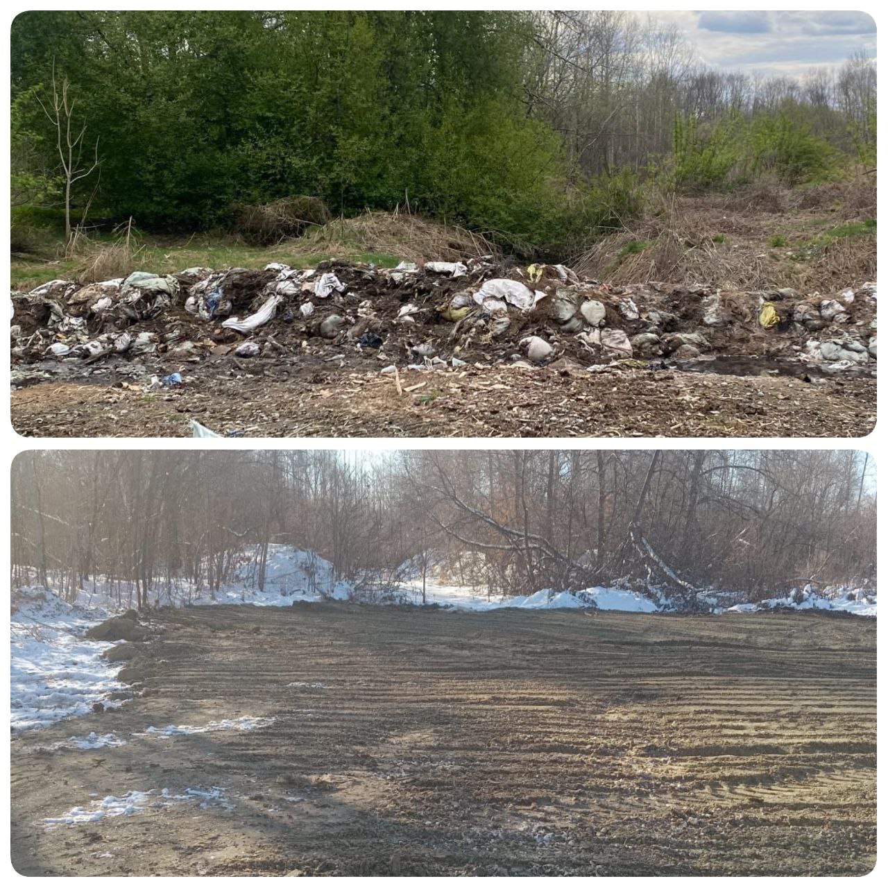 В Хабаровском крае по требованию природоохранного прокурора ликвидирована несанкционированная свалка биологических отходов на территории района имени Лазо Хабаровской межрайонной природоохранной прокуратурой проведена проверка по фактам изложенным в публикации Тысячи туш мертвого скота больше полугода гниют возле села в Хабаровском крае Недавно там сжигали животных болеющих чумой Установлено что вблизи села Павленково района имени Лазо на землях собственность на которые не разграничена образовалась свалка биологических отходов Администрацией района не приняты меры по очистке территории Создана угроза негативного воздействия на почву По результатам рассмотрения представления с площади 1500 кв метров вывезены и утилизированы биологические отходы Кроме того установлено что Управлением ветеринарии Правительства Хабаровского края в рамках реализации мероприятий направленных на предотвращение распространения и ликвидацию очагов болезни животных на территории Георгиевского сельского поселения муниципального района имени Лазо произведено сжигание изъятых туш животных Мероприятия проведены в соответствии с Ветеринарными правилами сбора хранения перемещения утилизации и уничтожения биологических отходов При этом в нарушение требований законодательства в качестве горючего материала для сжигания биоотходов использованы отходы IV класса опасности отработанные автомобильные шины Природоохранным прокурором руководителю Управления внесено представление Инициировано привлечение виновных лиц к административной ответственности по ч 1 ст 8 2 КоАП РФ несоблюдение требований в области охраны окружающей среды при сборе накоплении транспортировании обработке утилизации или обезвреживании отходов производства и потребления Рассмотрение актов реагирования находится на контроле природоохранной прокуратуры   abpp proc