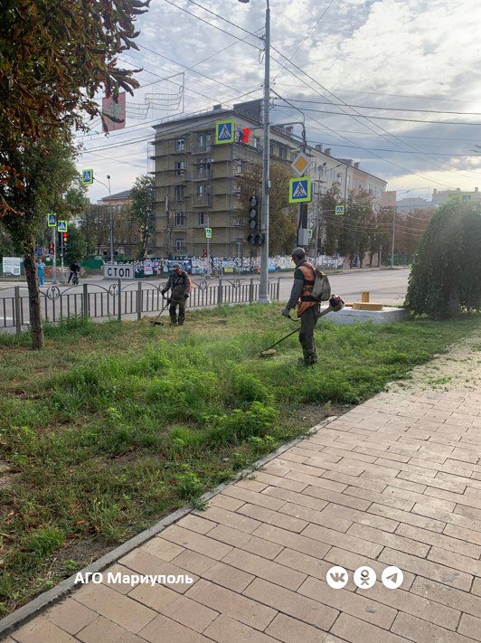 В Мариуполе коммунальщики активизировали покос сорных и карантинных растений С наступлением периода цветения сорных и карантинных трав работники МУП Зеленстрой активизировали их покос во всех районах города В частности коммунальщики освободили от этих растений зеленые зоны по проспекту Ленина На предприятии подчеркнули что сейчас районные бригады максимально сосредоточены на покосе дикорастущих трав которые способны вызвать у горожан аллергические реакции