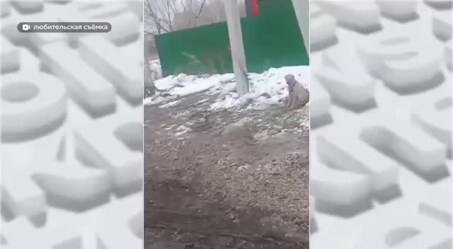 В Барнауле началась подготовка к Новому году на фоне осеннего пейзажа