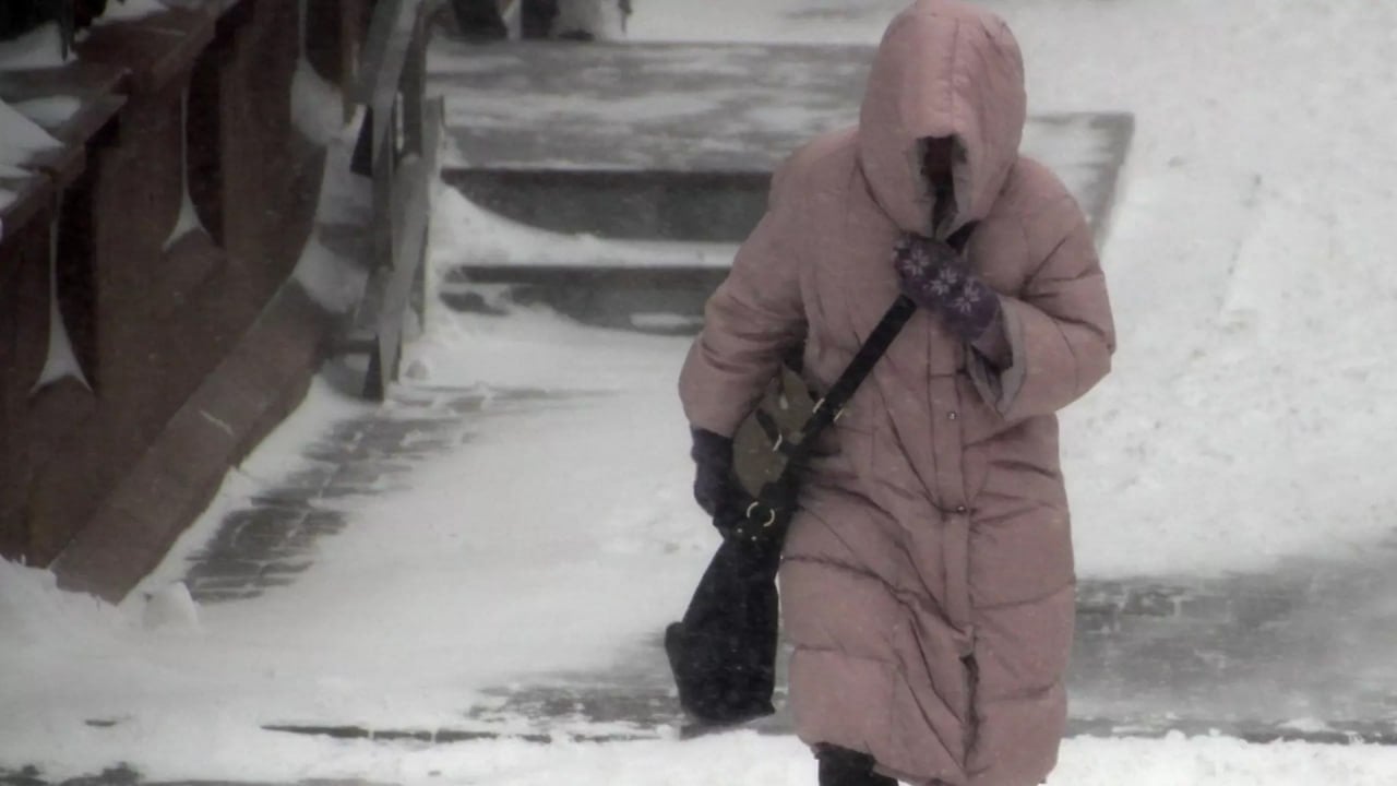 В Волгоградской области введен желтый уровень предупреждения   Этот режим установлен Гидрометцентром из-за штормового ветра. В отдельных районах области порывы уже достигают 15-20 м/с.  Такой режим предупреждения будет действовать до 00:00 24 февраля. В это время волгоградцам не следует ходить под ветхими конструкциями и сухими деревьями, чтобы избежать несчастных случаев.           Подписаться