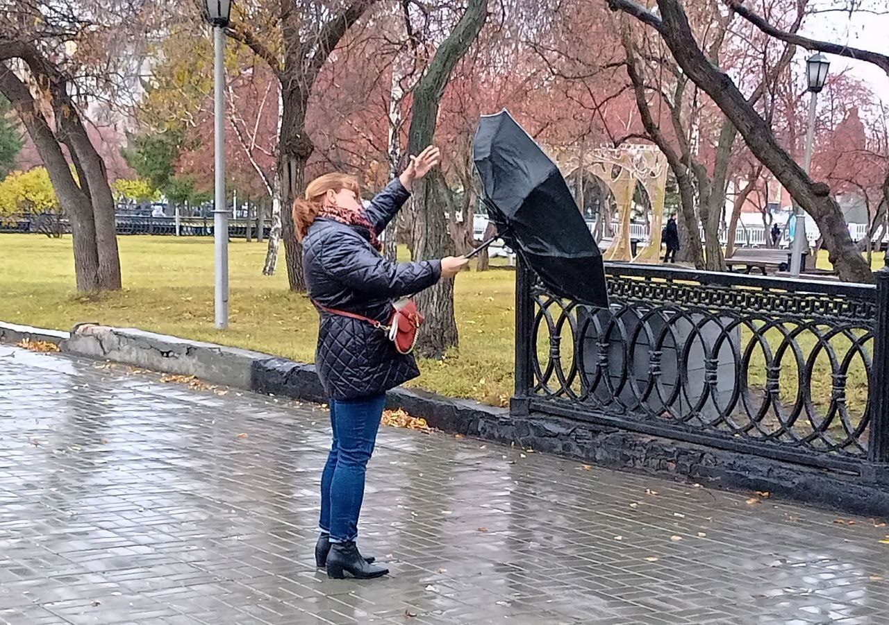 В Новосибирской области спрогнозировали «сильное понижение температуры»  К концу недели в Новосибирской области стоит ожидать понижения температуры воздуха.