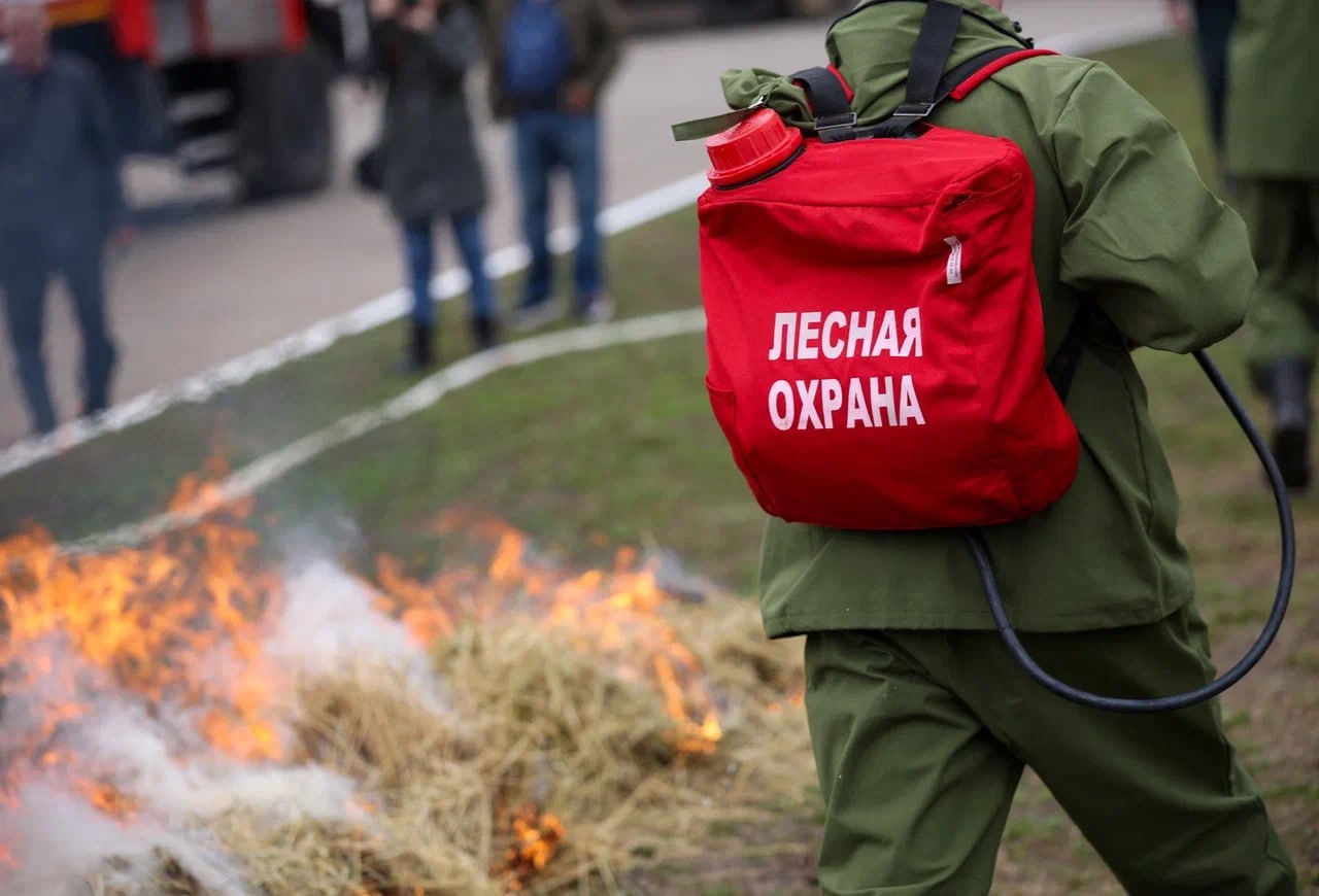 В Татарстане закрыли леса на три недели из-за высокого риска пожаров На данный момент в республике установлен IV класс пожарной опасности. Запрет распространяется на вход, въезд и любые действия, не связанные с обеспечением противопожарного режима. Ограничения касаются всех 31 лесничеств региона, включая Агрызское, Альметьевское, Зеленодольское, Мензелинское и Нижнекамское, и действуют с 1 июня. KazanFirst в бот