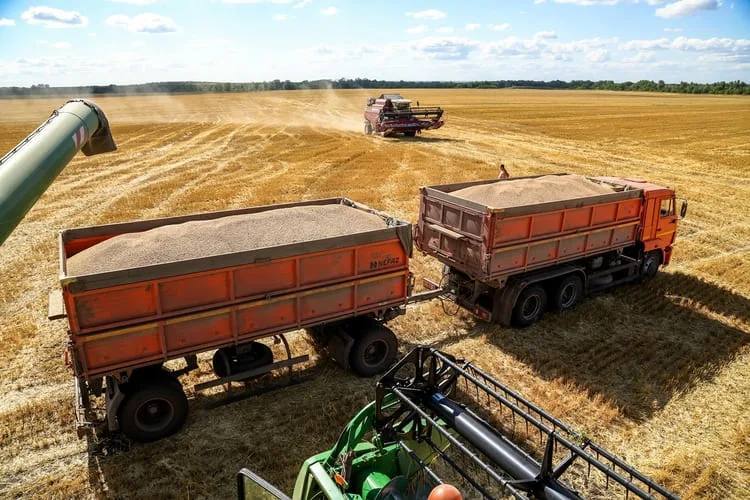 Цифровой урожай: Минтранс переводит перевозки зерна в онлайн С 1 мая по 31 октября в России проходит эксперимент по использованию государственной информационной системы электронных перевозочных документов ГИС ЭПД при транспортировке зерна и продуктов его переработки. В Минтрансе заявили, что инициатива направлена на сокращение бумажного документооборота и снижение издержек для бизнеса. «Последовательная цифровизация позволит минимизировать затраты на создание, хранение и передачу документов», — подчеркнули в министерстве. Проект также нацелен на создание равных условий для всех участников рынка. Ожидается, что система сделает логистические процессы более прозрачными и эффективными. #БольшаяЛогистика #logisticsnews #логистика #импортновости #ЛогистическиеРешения