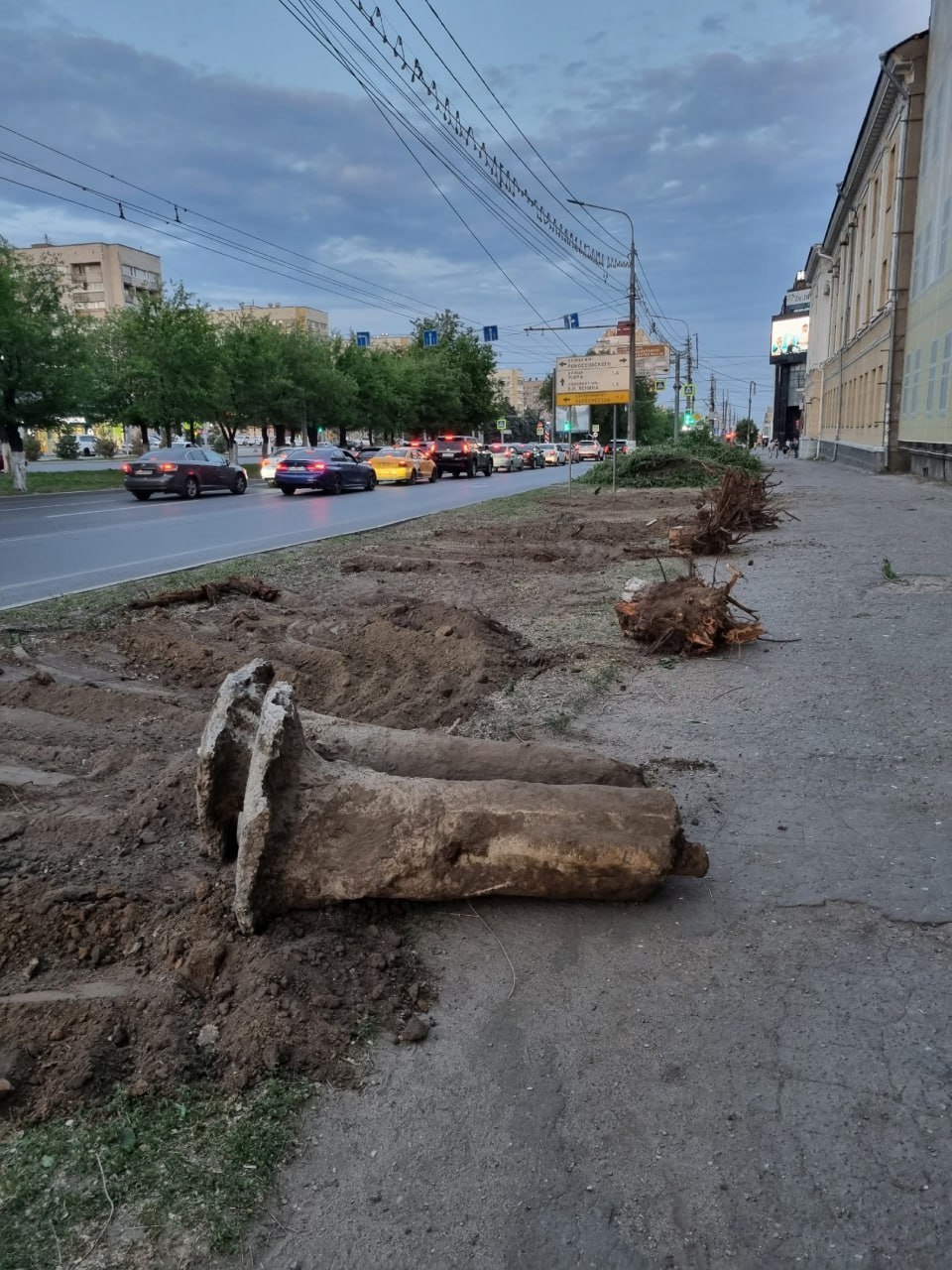На проспекта Жукова, вдоль пешеходной зоны вырубили все деревья. И даже выкорчевали пни. Это произошло на участке от Каспийской до улицы Рокоссовского. Опять ёлки посадят? Подписаться Прислать новость