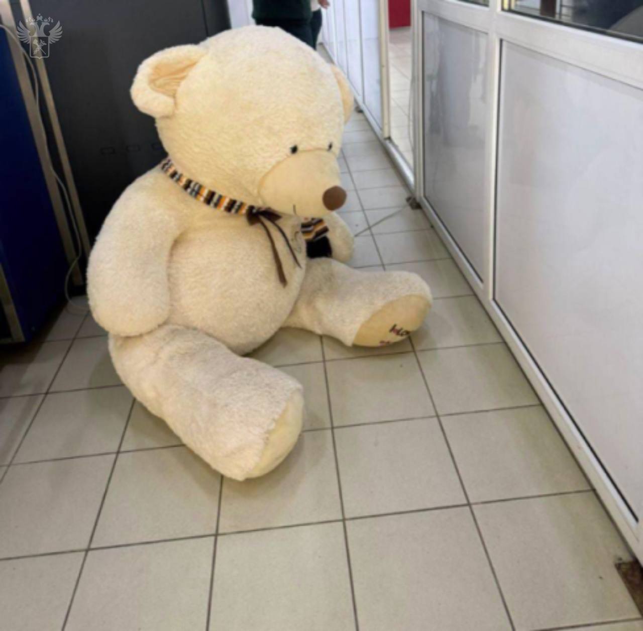 Таможенники в Адлере обнаружили 250 пачек сигарет в плюшевом медведе и тайниках автомобиля Контрабанда выявлена в ходе таможенного контроля авто прибывшего из Абхазии На заднем сиденье транспорта находилась плюшевая игрушка в виде белого медведя В ходе сканирования машины с помощью МИДК выявили сокрытый товар 150 пачек сигарет находилось в мягкой игрушке еще 100 пачек спрятано под водительским сиденьем в бардачке и в чехле переднего пассажирского кресла На табачных изделиях отсутствовали российские акцизные марки и обязательная маркировка средствами идентификации Водитель пояснил что спрятал товар намеренно так как знал об ограничениях на ввоз табачной продукции на территорию России Сигареты и транспортное средство использовавшееся для перевозки товара с сокрытием изъяты Возбуждены дела об административных правонарушениях по ч 2 ст 16 1 сокрытие товаров от таможенного контроля и ст 16 3 несоблюдение запретов и ограничений на ввоз товаров на таможенную территорию КоАП РФ правоохрана customs rf