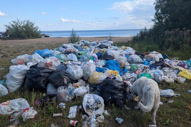 В Новосибирске у пляжа «Бумеранг» образовалась стихийная свалка. Об этом рассказала читательница НГС. В связи с большим количеством отдыхающих граждан, периодичность вывоза мусора увеличена. После вывоза заполненных мусором бункеров региональным оператором АО „САХ“, пустые будут возвращены на прежние места, — комментируют публикацию в мэрии. МАУ «Горзеленхоз» должен заняться сбором мусора и заполнением контейнеров. #новосибирск