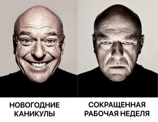 В России предложили отменить январские и майские каникулы Вместо них — 6 рабочих недель по 3 дня. А отпуск тогда увеличат?