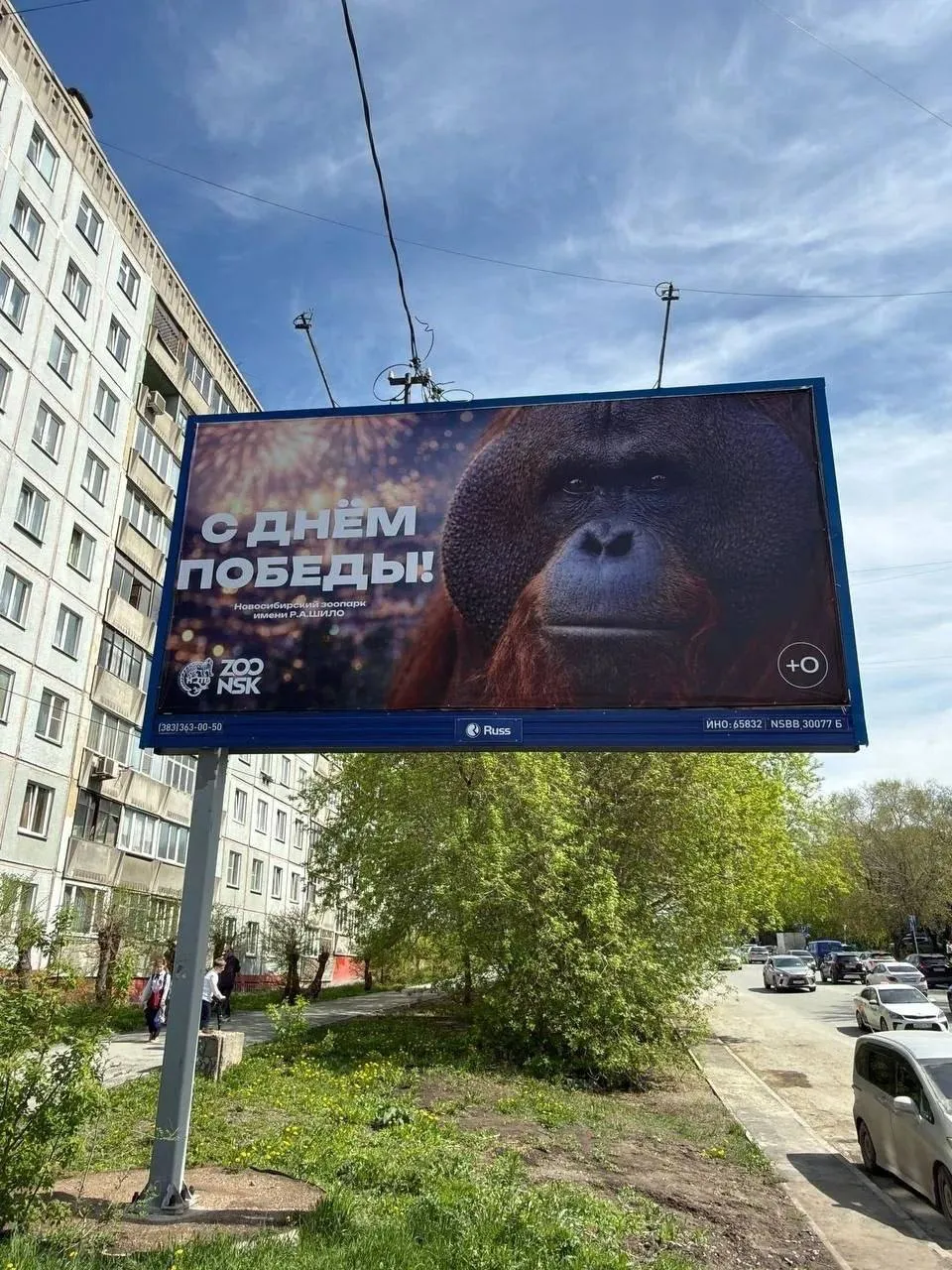 Новосибирский зоопарк поздравил жителей с Днём Победы плакатом с орангутаном