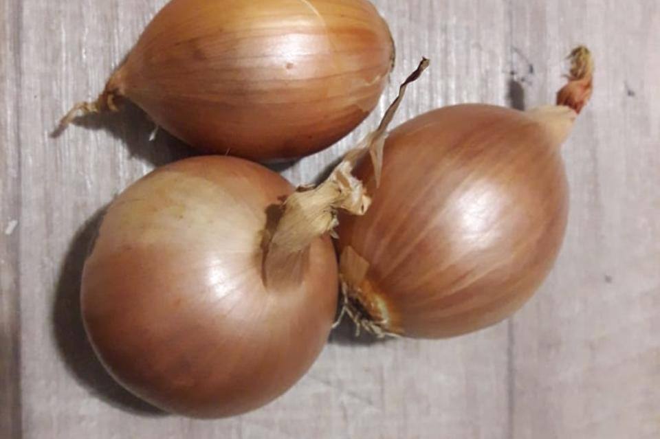 Жителям чьи участки пострадали от летних наводнений начали выдавать продовольственную помощь По поручению губернатора Александра Осипова из бюджета выделили средства на овощные наборы Уже завершили доставку 24 семьям в Кыринском и Карымском округах почти 7 тонн картофеля До конца недели додадут продукцию в Читинский округ В итоге 112 семьям из трех муниципалитетов передадут более 30 тонновощей Компенсация рассчитана по погибшим соткам с учетом средней урожайности доставляет компания победитель конкурса ZAB RU Проголосовать