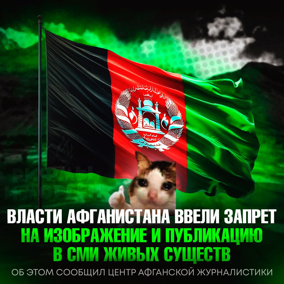 ‼ Власти Афганистана запретили изображение живых существ в СМИ, сообщил Центр афганской журналистики Запрет затронет не только физические изображения, но и публикации в соцсетях. — а почему бы и нет — они там ебн#лись? Рифмы и Морген