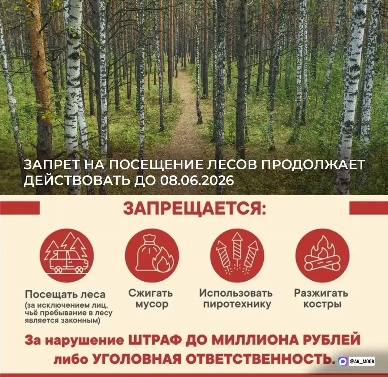 До 8 июня продлевается запрет на посещение лесов в рамках действующего особого противопожарного режима Также запрещено сжигание сухой травы и мусора разведение костров проведение пожароопасных работ использование пиротехники В регионе устанавливается по настоящему летняя погода это повышает риск возгораний Происходят они к сожалению главным образом по вине человека Поэтому запрещающие меры необходимы чтобы защитить наши леса и населённые пункты от огня За нарушения предусмотрена административная и даже уголовная ответственность  Прошу земляков быть внимательнее Только вместе мы сможем сохранить наше природное богатство и не допустить пожаров Подписывайтесь на официальный канал губернатора Тюменской области в МАКС узнавайте важное первыми