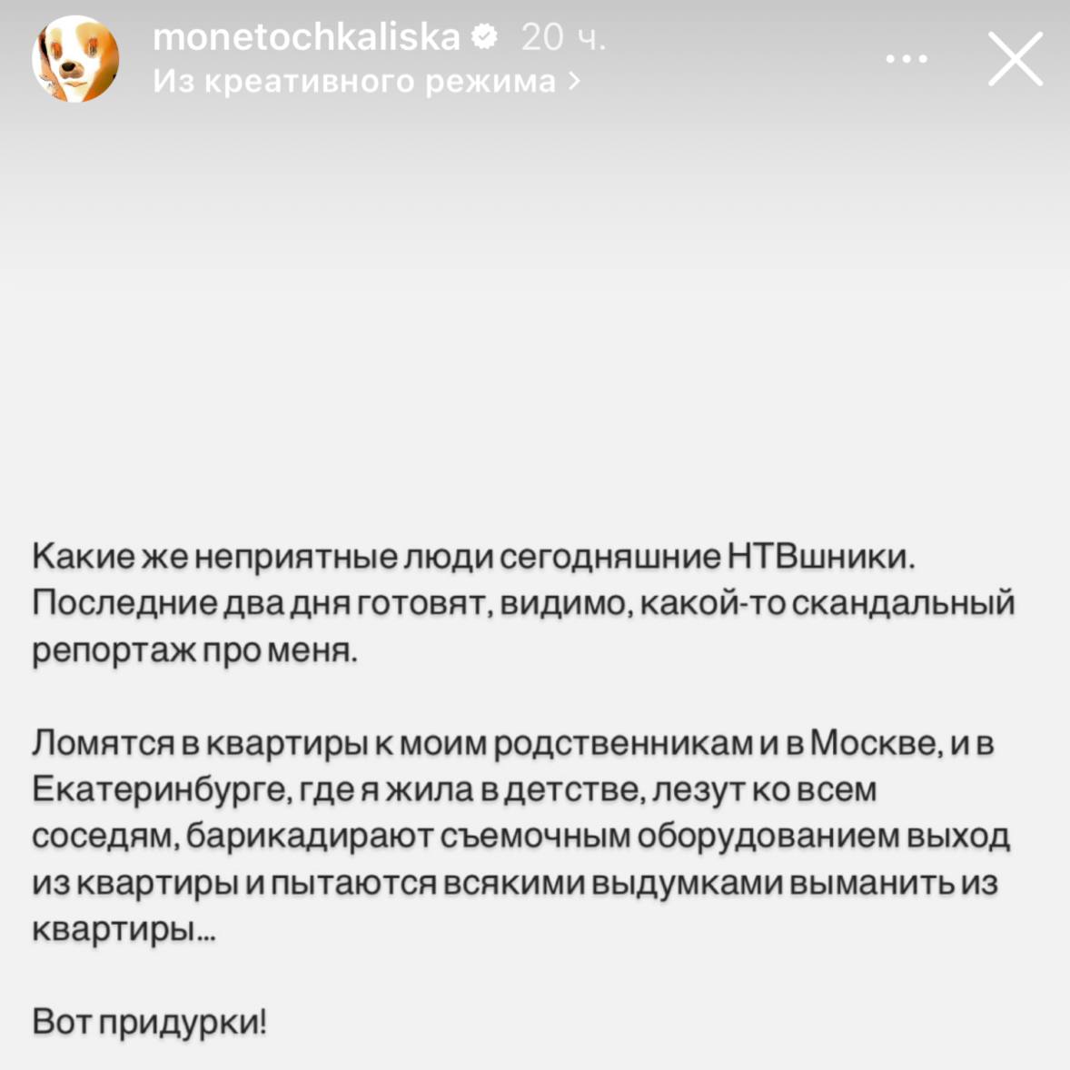 Уральская певица Лиза Монеточка  иноагентка  рассказала, что журналисты НТВ донимают её родственников и бывших соседей в Екатеринбурге   Новости Екб тут