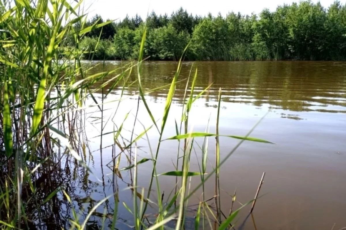 Тело девушки достали со дна водоёма в Очёрском районе, сообщает пресс-служба министерства территориальной безопасности Пермского края. Инцидент произошёл 12 июля. Жительница Прикамья, находясь на плавательном средстве, пренебрегла использованием спасательного жилета и утонула. Водолазы краевой службы спасения достали её тело со дна водоёма. Источник ЧП Пермь Прислать новость