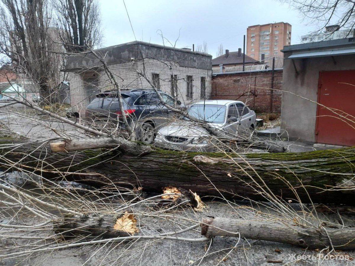 Тополь упал на автомобили на Металлургической в Ростове   Большой тополь с диаметром около 60 сантиметров свалился на машины. Дерево повредило капот и лобовое стекло припаркованных иномарок.  Спасатели оперативно распилили и убрали упавшее дерево.