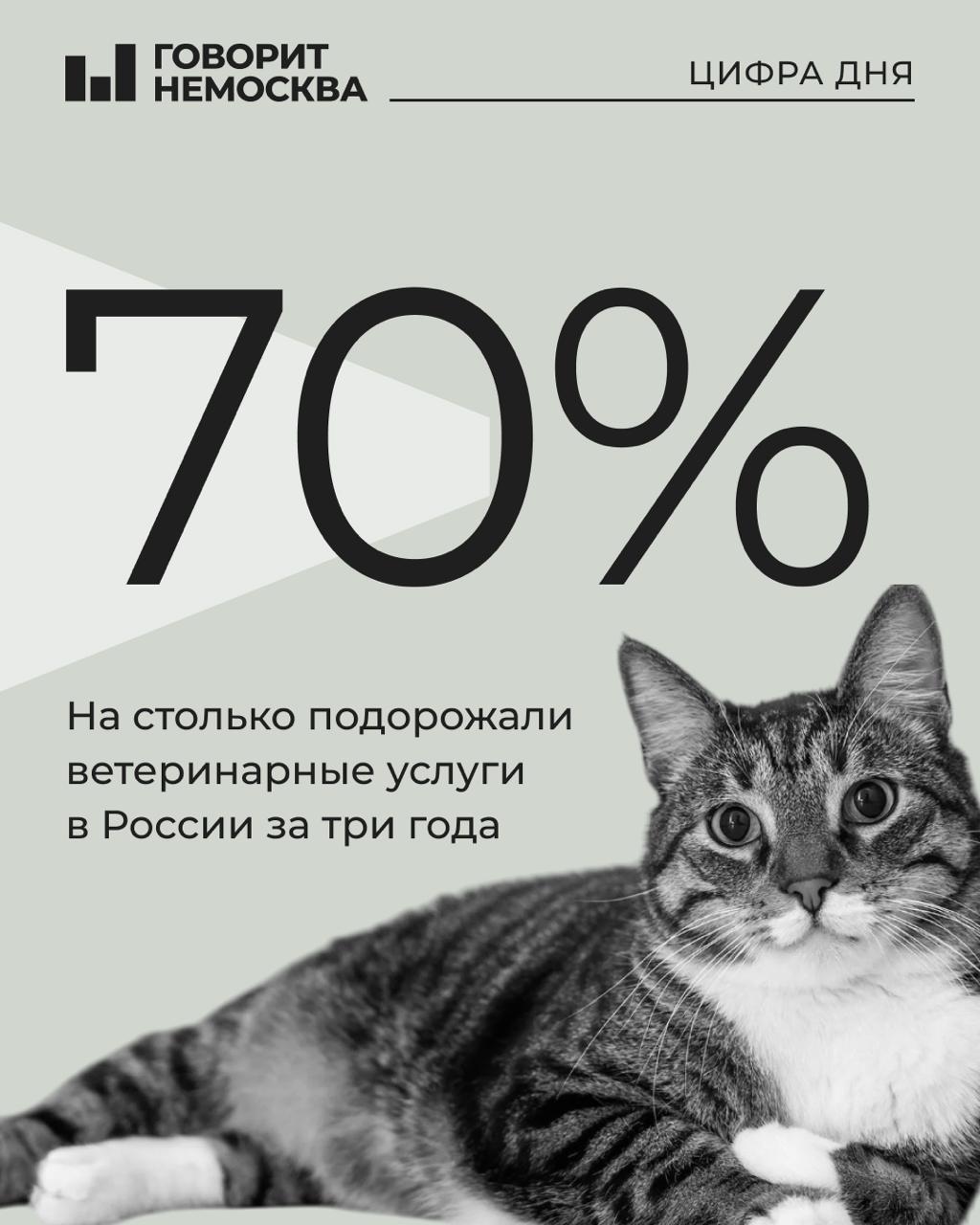 Лечение животных «изрядно выросло в цене»  Такие оценки приводит член правления Национальной ветеринарной палаты Сергей Мендоса. Цены выросли из-за инфляции, увеличения стоимости импортных расходных материалов, медикаментов, реактивов для лабораторий, роста стоимости аренды и коммунальных платежей.   При этом некоторые позиции почти не выросли в цене. Например, прием врача терапевта подорожал в среднем на 10%. А вот инструментальная диагностика стала дороже на 50%, лабораторные исследования — на 60%.  Больше всего подорожали высокотехнологичные услуги. Как отметила в разговоре с «Парламентской газетой» вице-президент Фонда развития ветеринарии, член Общественного совета при правительстве Санкт-Петербурга по вопросам животных Светлана Валеева, даже импортозамещающее оборудование «изрядно выросло в цене», и «это трагедия».   «Если производители в России видят, что мы не можем себе позволить что-то в другом месте купить, то они подтягивают цены»,  — рассказала она.  Некоторые клиники в регионах, добавила Валеева, не вытягивают затраты и закрываются.   Всего в 2024 году россияне потратили на лечение питомцев около 50 млрд рублей — это на 16,4% больше, чем годом ранее. При этом в стране не хватает импортных вакцин, медикаментов, препаратов для наркоза.