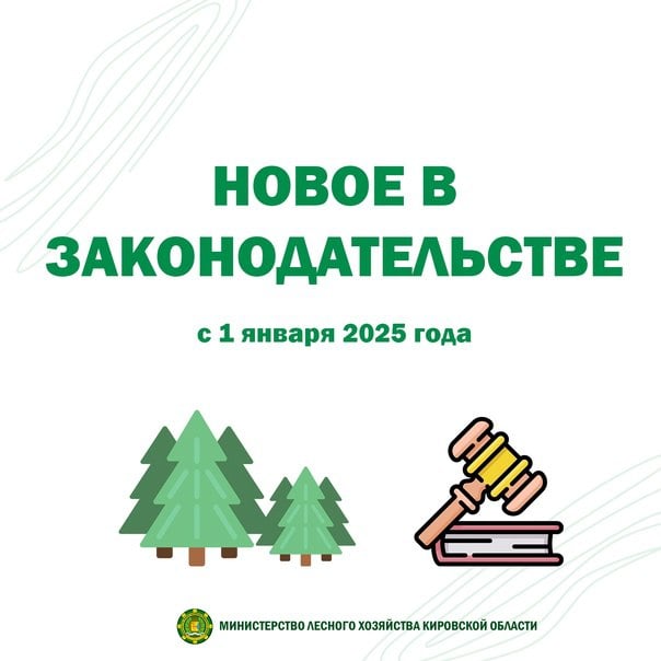 В минлесхозе Кировской области напомнили о новых штрафах за нарушения лесного законодательства.   Они начнут действовать с 1 января 2025 года.