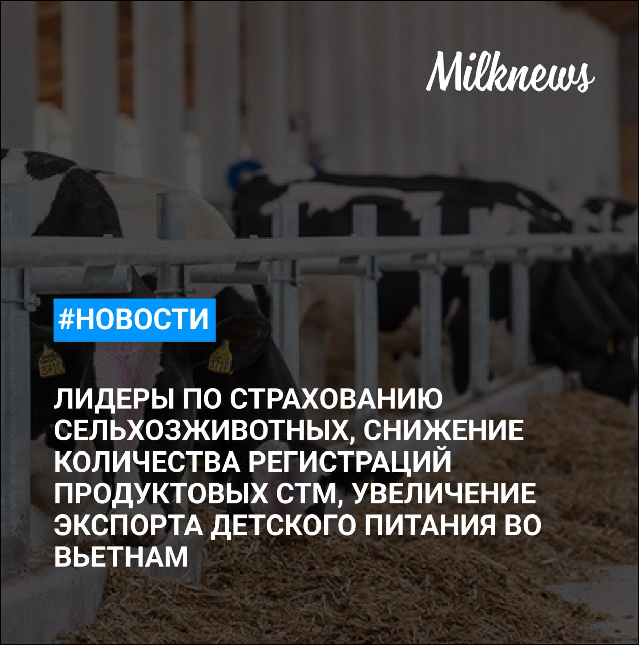 НСА назвал лидеров по страхованию сельхозживотных    «Ъ»: количество регистраций продуктовых СТМ снизилось на 15,6%    Власти Алтайского края выставят на продажу АО «Промышленный»    Россия в январе-июле на 10% увеличила экспорт детского питания во Вьетнам    Воронежская ГК «Агроэко» увеличила налоговые отчисления до 4,2 млрд в 2024 году