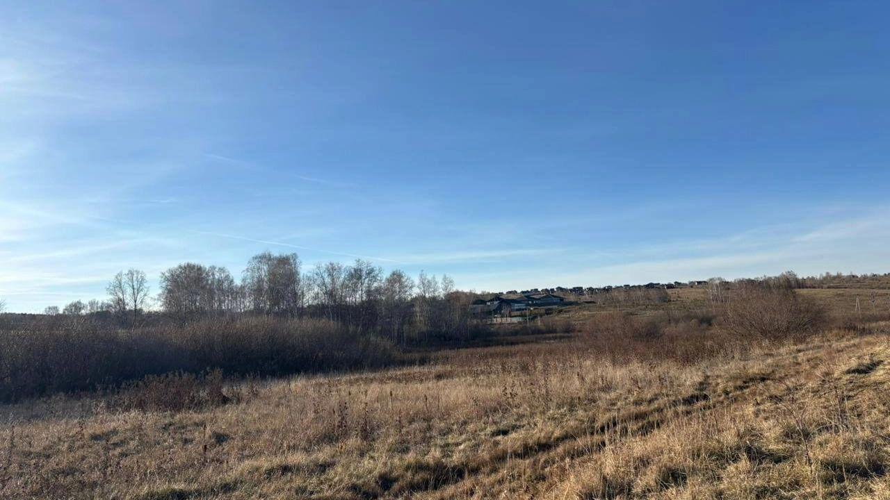 Трех псов загрызших 10 летнего мальчика поймали Что с ними будет Сколько их всего Трагедия случилась 25 октября в районе СНТ Теремок По версии следователей утром 10 летний мальчик пошел через поле к знакомому пастуху на выпас скота Предположительно по пути на него напали бродячие собаки Позже тело мальчика со следами укусов нашли люди проезжавшие на автомобиле Вчера 4 ноября стало известно что отловщикам удалось поймать трех безнадзорных собак из той стаи которая загрызла мальчика Сейчас они в приюте Как 5 ноября уточнили ПМ в краевой прокуратуре собак установили со слов очевидцев Всего в стае было 10 12 собак об этом также говорят местные жители и очевидцы Они собаки пугливые отлов продолжается каждый день ищут каждый день говорят в прокуратуре В прокуратуре утверждают что обратно собак точно не выпустят им либо найдут хозяев либо оставят навсегда в приюте prmira news