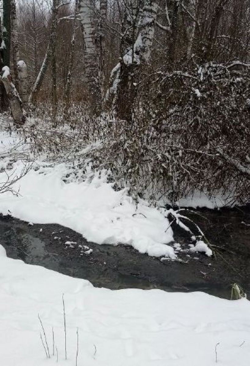 Во Владимирской области воду из канализации сбрасывают в лес Прокуратура Судогодского района провела проверку соблюдения законодательства при организации водоотведения в поселке Ликино. Было выявлено, что там находятся в полуразрушенном состоянии очистные сооружения и не работают. ↗ Прислать новость Подписаться