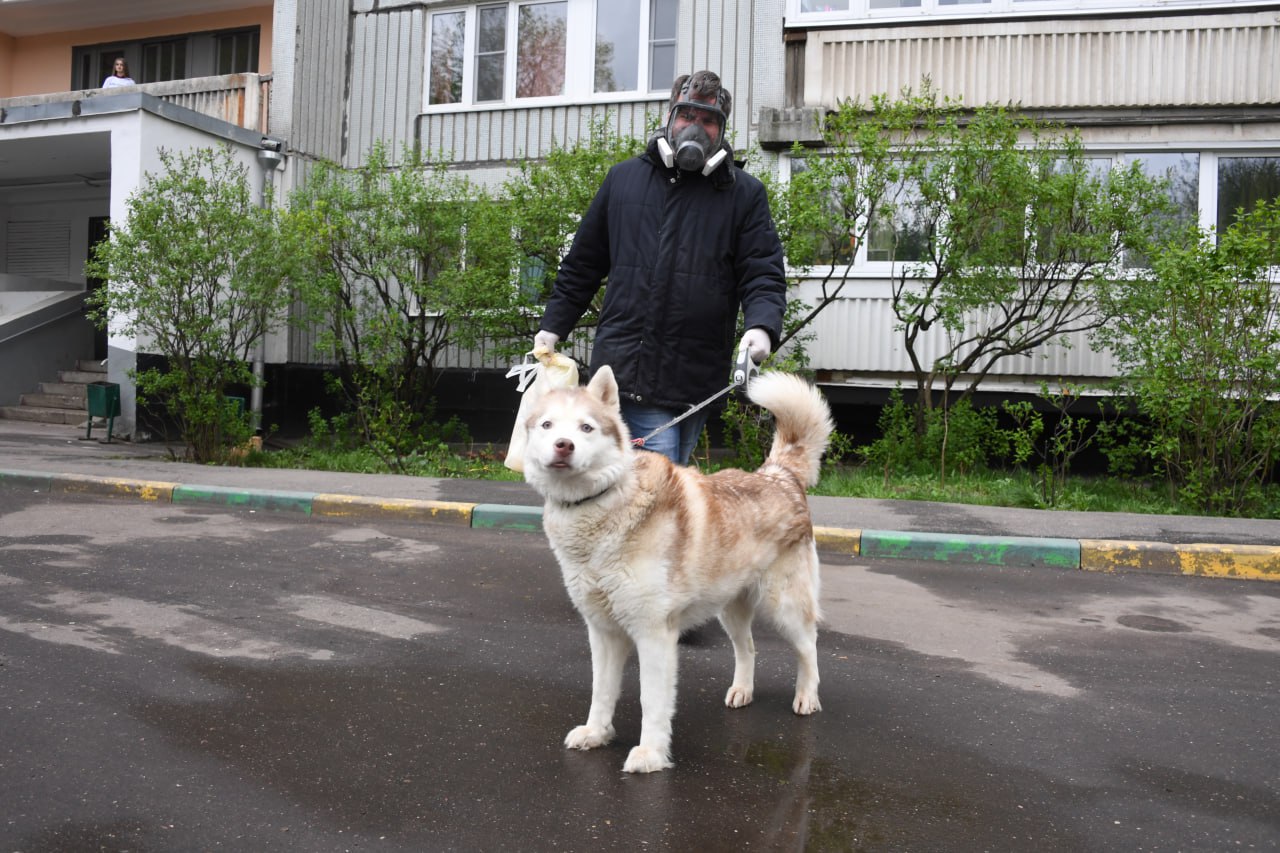 В Бузулуке в 15 раз превышено ПДК по сероводороду Как сообщает Экологическая служба области, 26 мая местные жители направили 14 обращений об удушливом запахе. Мобильная лаборатория отправилась на место, была взяты пробы воздуха. В районе жилого дома по улице Летняя, 19 оборудование зафиксировало 15,1 ПДК по сероводороду. В районе дома по улице Тенистая, 29 - 2,3 ПДК. Данные передали в компетентные органы.