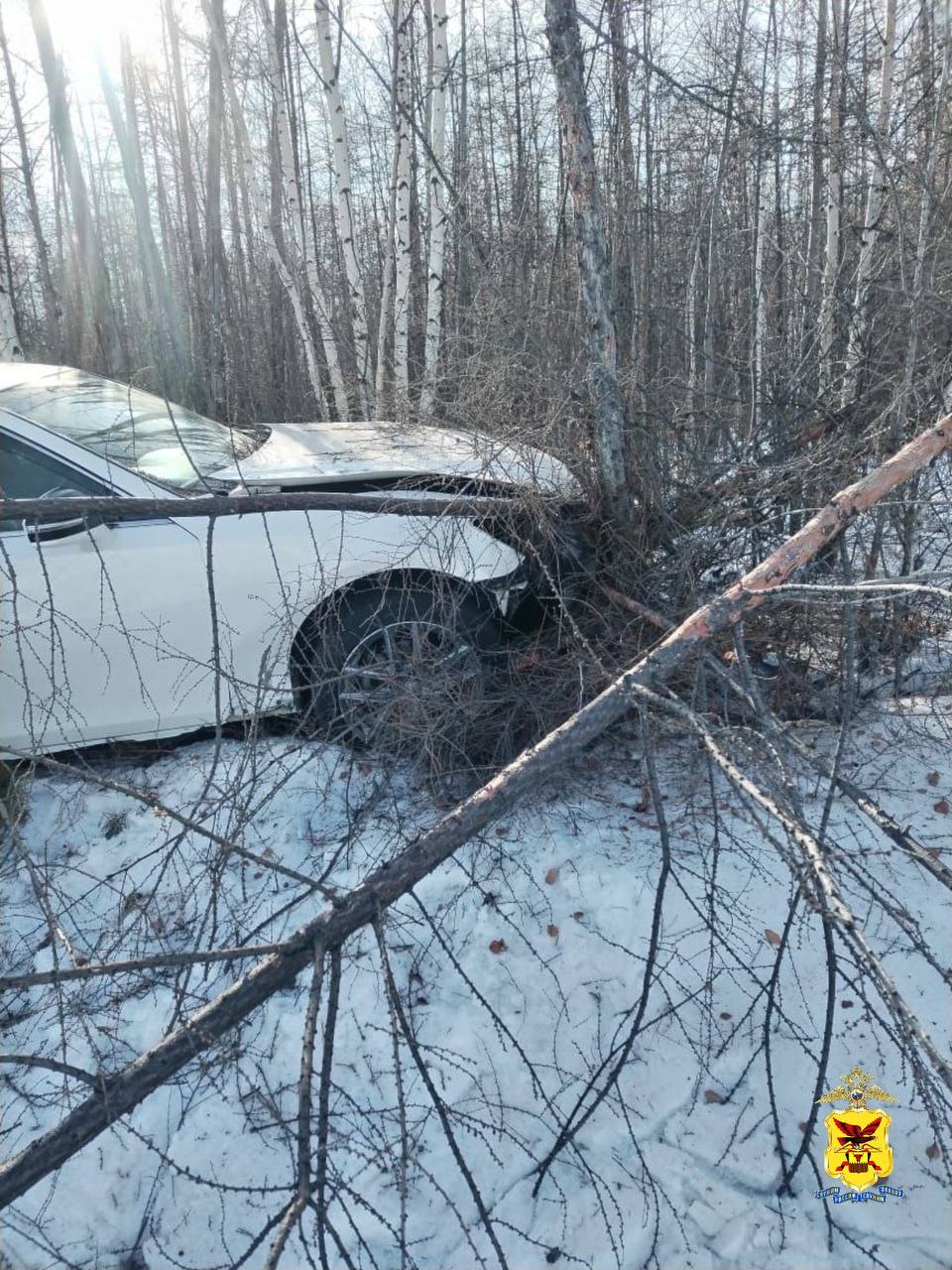 Могочинские студенты подшофе угнали и разбили машину случайного знакомого за 3 млн рублей.   Мужчина познакомился с компанией в кафе и позвал их к себе домой продолжить застолье. На афтерпати 19-летние парни прихватили ключи от Toyota Crown. Сигнализация среагировала — хозяину тут же пришло сообщение и он молнией позвонил в полицию.  Угонщиков нашли. Машину они бросили в 15 километрах от поселка Сбега: у Toyota лопнуло колесо, и ее снесло в кювет. Дальше компания отправилась пешком.   Теперь у студентов в портфолио уголовное дело. Им грозит штраф до 200 тысяч рублей или до семи лет колонии.   Фото телеграм-канал «Полиция Забайкалья»   Подписаться