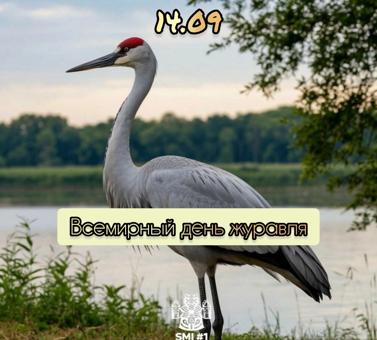 Всемирный день журавля отмечают сегодня Выбрана дата неслучайно Именно в середине сентября начинается миграция журавлей Они собираются в стаи чтобы отправиться в теплые края Интересный факт журавли одни из древнейших пернатых на Земле Всего в наше время известно 15 видов журавлей 7 из которых гнездятся в России Подписаться на канал ПЛАТИМ ЗА ЭКСКЛЮЗИВ