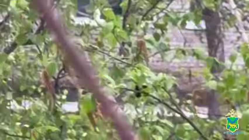 В Приморье задержаны мужчины, стреляющие из пистолета в жилые дома