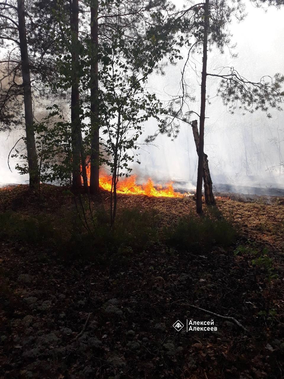 В Володарском районе горят 3,5 гектара леса.  Пожар начался в 10 километрах от поселка Пыра на землях Минобороны.   Подписаться   Прислать новость