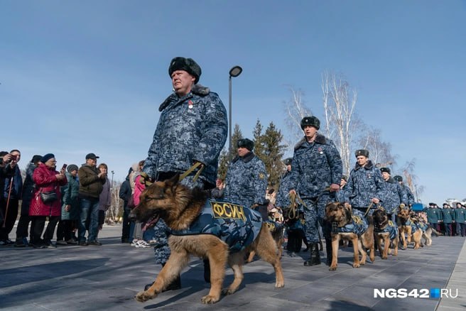 Первый в России марш служебных собак прошел в Кемерове  Местом проведения марша служебных собак стал Парк Победы под аккомпанемент оркестра и с соблюдением воинских ритуалов. Среди участников были и именитые собаки, которые наравне с людьми выполняли боевые задачи в зоне СВО, где они искали взрывчатку и боеприпасы.   За свою службу они получили знаки отличия и награды в виде медалей. Таким образом люди признают вклад, который привносят четвероногие стражи порядка. Фоторепортаж уникального события подготовил корреспондент   Евгений Горбачев.    — какие они все красавчики!   ⏹