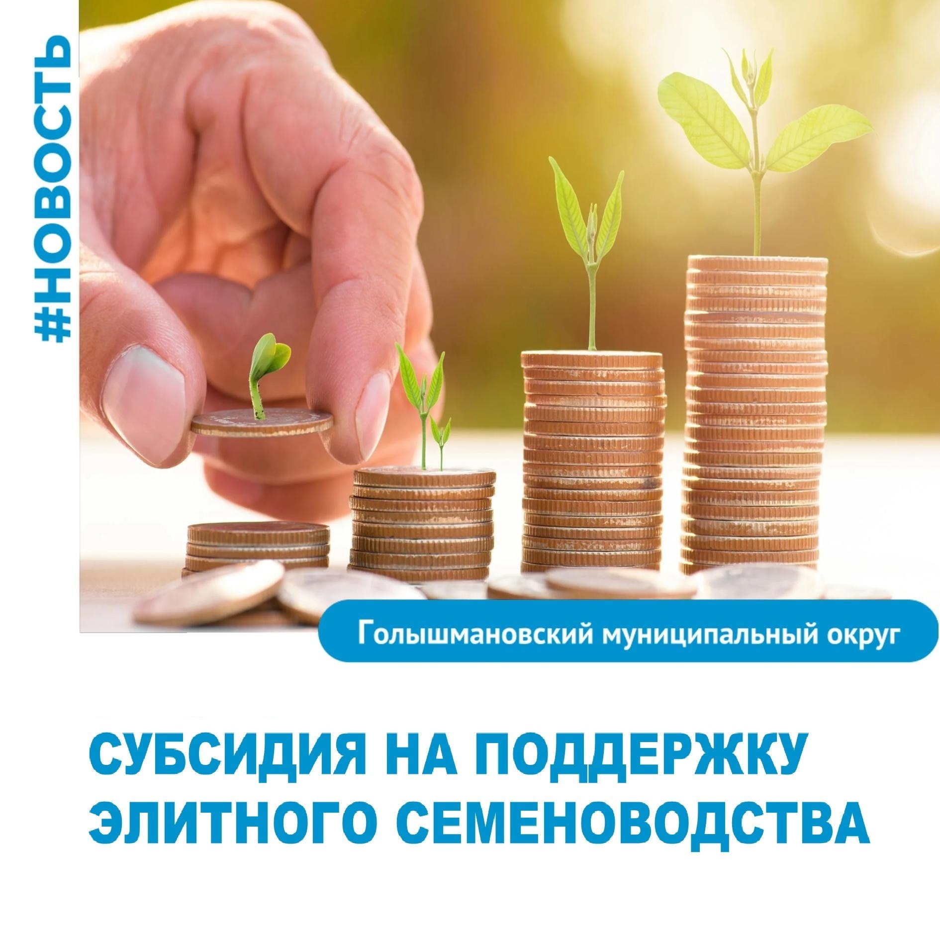 Аграрии могут получить субсидию на на поддержку элитного семеноводства Департамент АПК объявляет отбор получателей субсидии на возмещение части затрат на поддержку элитного семеноводства. Субсидия выплачивается по ставке на 1 гектар посевной площади, засеянной элитными семенами, под сельскохозяйственными культурами, за исключением картофеля и овощных культур. Кто может принять участие? Юридические лица и индивидуальные предприниматели. Заявки от желающих принимаются с 9 до 21 июля. Подробная информация в объявлении: clck.ru/3N2XW2 #Голышмановскийокруг #АПК