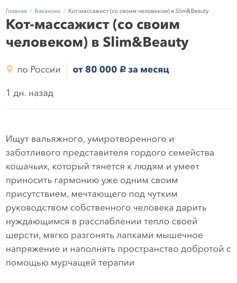 В Москве ищут кота-массажиста с зарплатой 80 тысяч рублей. Задача — мять спины, мурчать и снимать стресс у клиентов. Питомцу обещают ДМС, прививки, больничный, отпуск, личный кабинет и запасы вкусняшек. Выберу.ру