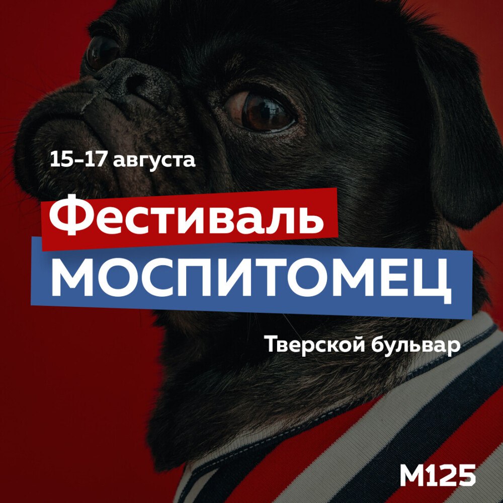 С 15 по 17 августа на Тверском бульваре пройдет фестиваль “Моспитомец”. Можно будет встретиться с кошками и собаками из приютов, пообщаться с зооволонтерами, выбрать питомца и забрать его домой. На сайте газеты “Мой район” также сообщили, что на бульваре можно будет получить консультацию ветеринара, чипировать животное, сделать УЗИ, вакцинацию и другие процедуры: mr.moscow/zhivotnye-iz-priyuta-smogut-najti-sebe-hozyaev-na-festivale-mospitomecz/ #мг