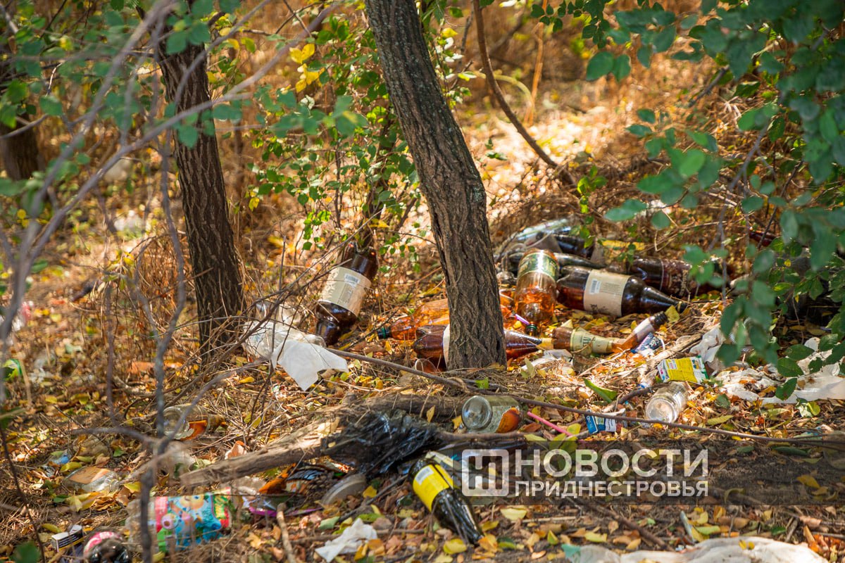 Около 100 тираспольчан с начала года были оштрафованы за то, что выбрасывали мусор в неположенных местах.   Закуплены камеры-ловушки, чтобы выявлять правонарушителей.   Горожане тоже активнее стали бороться с любителями разбросать мусор и чаще звонят в дежурную часть.   Штраф за такое нарушение может составить от 368 до 1104 рублей.