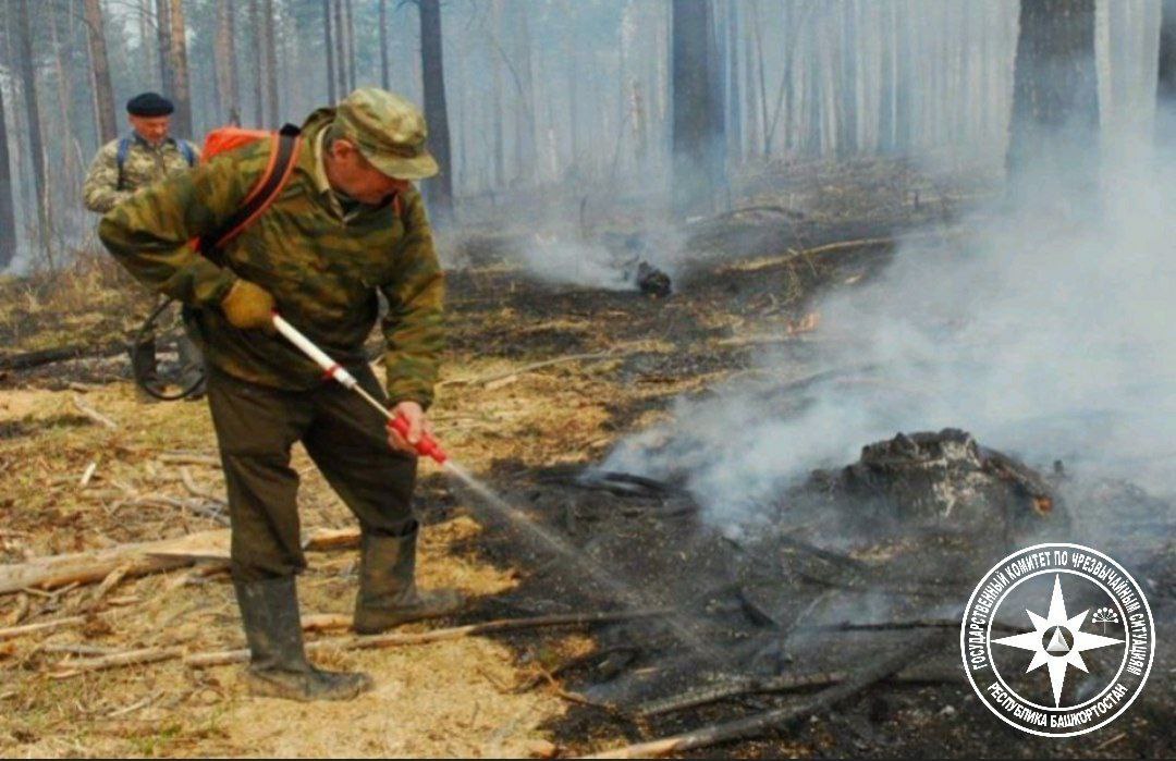 За среду в Башкирии началось два лесных пожаров, оба в Бурзянском районе. Первый в километре от деревни Кильдигулово на площади 0,5 на, второй в 1,2 км от деревни Кулганино на площади 0,005 га. - госкомитет по чс