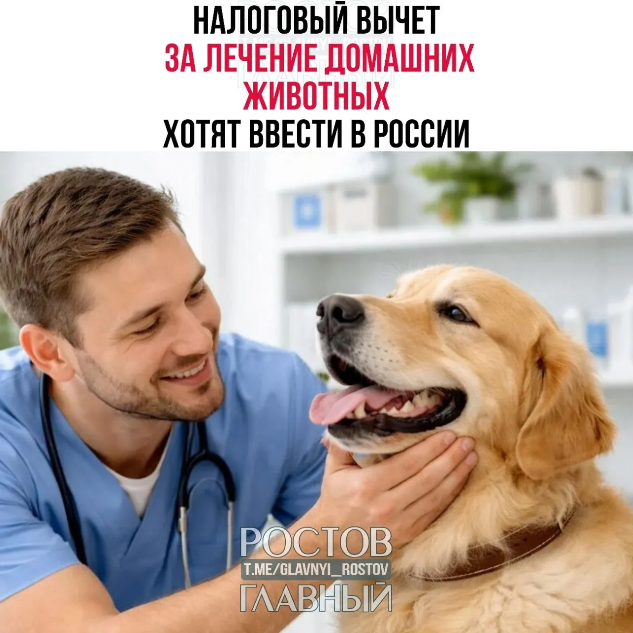 Налоговый вычет за лечение домашних животных хотят ввести в России По словам депутатов такая мера хоть и не решит всех проблем с содержанием питомцев но может значительно сократить расходы семейного бюджета Размер выплаты предлагают рассчитывать по тем же параметрам что и за лечение человека Поддерживаем Подпишись glavnyi rostov Прислать новость glavnyi admin Уведомления не доходят Подписывайся на Ростов Главный в MAX