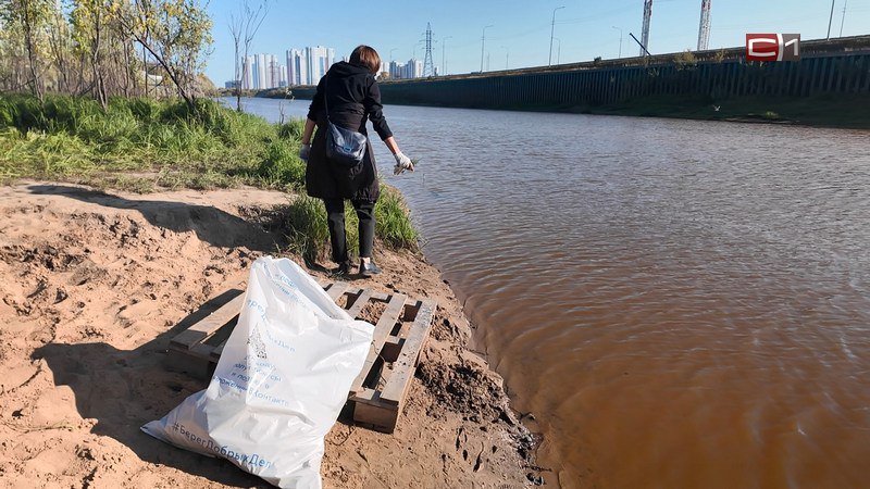 Более 500 кубов мусора вывезли с береговых линий Сургута за один субботник В Сургуте завершился сезон субботников Последнюю летнюю уборку провели в рамках заключительного этапа акции Вода России Убираем очень много локаций берега рек озер загрязненные участки Озеро по Югорскому тракту между улицами Мелик Карамова и Югорский тракт река Сайма протока Бардыковка берега Сургутского водохранилища река Черная рассказала директор МКУ Лесопарковое хозяйство Ирина Николаенко Только за пятницу в рамках Всероссийского субботника Зеленая Россия нацпроекта Экологическое благополучие очистили более 30 километров береговых линий близ озер рек проток и водохранилищ Оттуда вывезли 500 с лишним кубов мусора Для сравнения это примерно 20 больших груженных КАМАЗов или три тысячи доверху заполненных уличных урн Официально сезон уборок закончен Теперь в Лесопарковом хозяйстве переходят к другой ежегодной и не менее важной для экологии и эстетики города работе Это высадка деревьев Новые саженцы будут появляться в разных частях Сургута с этой недели Подписаться Прислать новость SiTV в MAX