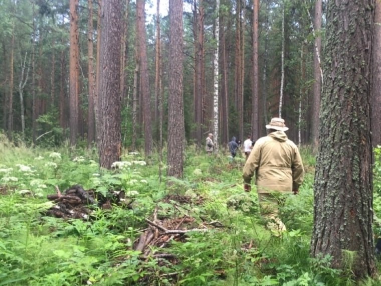 В Омской области создадут два новых лесных хозяйства Они появятся в Тарском и Нижнеомском районах Это нам позволит более эффективно выполнять работу по охране защите и воспроизводству лесов оперативно тушить лесные пожары а также по обеспечивать жителей дровами отметил губернатор Омской области Виталий Хоценко